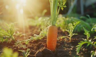 AI generated Carrot grows in the garden. Selective focus. nature. photo