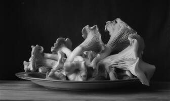 AI generated oyster mushrooms on a plate, black and white photo, close-up photo