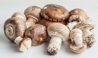 AI generated Shiitake mushrooms on a white background, close-up photo