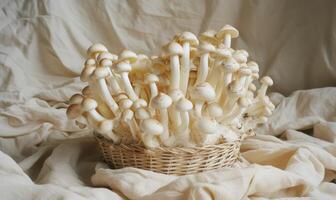 AI generated Shimeji mushrooms in a wicker basket on a white background photo