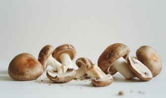 AI generated Fresh champignon mushrooms on white background. Shallow depth of field. photo