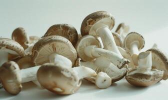 AI generated Shiitake mushrooms on white background. Shiitake mushrooms is a kind of mushroom. photo