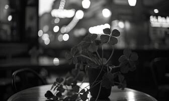 AI generated monochrome photo of clover plant in a pot on the table