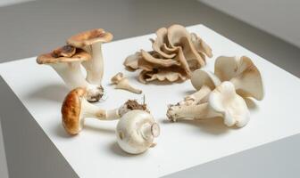 AI generated Mushrooms on a white table. Shallow depth of field. photo