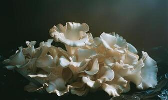 AI generated Close up of white oyster mushrooms on black background. Shallow depth of field. photo