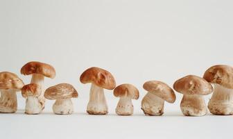 AI generated Fresh champignon mushrooms on a white background. Selective focus. photo