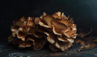 AI generated Mushroom Pleurotus ostreatus on dark background photo