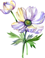 White Anemone Hand painted watercolor flowers in vintage style. It's perfect for greeting cards, wedding invitation, birthday and mothers day cards. png