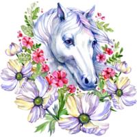 Brown Horse in floral plant spring frame, circle, wreath with anemones png