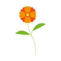 Orange Blume eben Symbol, Pflanze und Natur, Kamille Zeichen, ein bunt solide Muster png