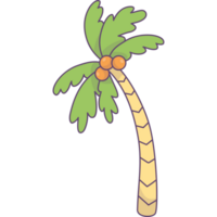 Palm tree tropical png