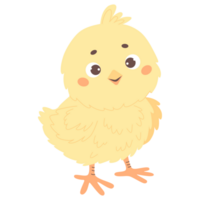 pegatina de pollito png