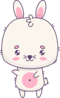 content petit blanc lapin png