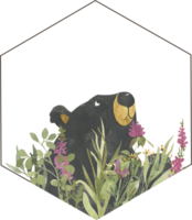 Simple drawing of a bear in wildflowers, honey label png