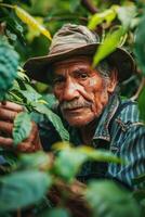 ai generado hombre en sombrero cosecha hojas desde árbol foto