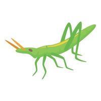 Grasshopper icon isometric vector. Nature insect vector