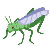 verde insecto icono isométrica vector. contento insecto mosca vector