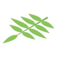 Small monstera leaf icon isometric vector. Tropical vegetation vector