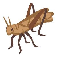 Pest insect icon isometric vector. Brown grasshopper vector