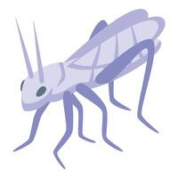 White grasshopper icon isometric vector. Art color life vector