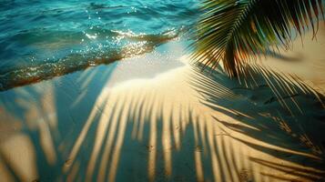 ai generado palma árbol fundición sombra en arena foto