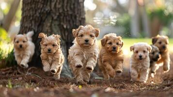 ai generado grupo de cachorros corriendo alrededor un árbol foto