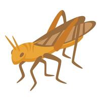 Insect ant icon isometric vector. Grasshopper bug vector