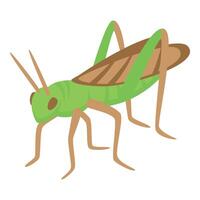 Insect grasshopper icon isometric vector. Creature natural vector