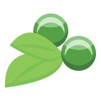 Green capsules icon isometric vector. Nutrition organic vector