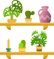 Ornamental plants home garden decorated on wooden shelves simple design png