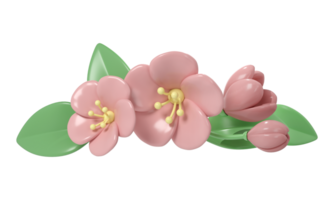 3d pastel pink divider cherry flowers, botanical spring arrangement, floral clip art, bouquet element decor illustration png