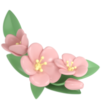 3d pastel roze hoek verdeler kers bloemen, botanisch voorjaar regeling, bloemen klem kunst, boeket element decor illustratie png