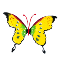pintado à mão aguarela borboletas isolado em transparente fundo png arquivo.