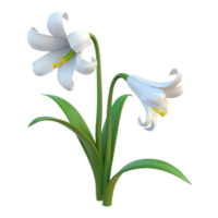 AI generated White Easter lily flowers symbolizing spring rebirth and purity. Easter day concept with transparent background png