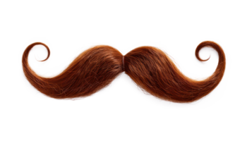 ai généré élégant frisé moustache avec ancien coiffeur style sur transparent Contexte png