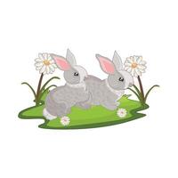 illustration of two rabbits vector