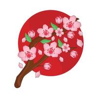 illustration of cherry blossom vector