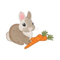 illustration of rabbit with carrot vector