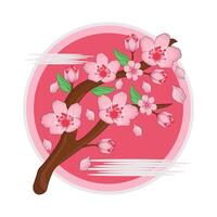 illustration of cherry blossom vector