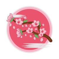 illustration of cherry blossom vector