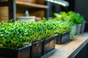 AI generated Indoor Microgreen Garden with Efficient Lighting with AI generated. photo