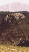 Alto montanha verão panorama e Prado com enorme pedras entre a Relva video
