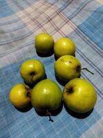 un grupo de verde manzanas sentado en un azul y blanco a cuadros mesa paño foto