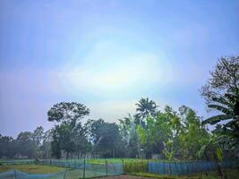 a view of the sky through the trees photo