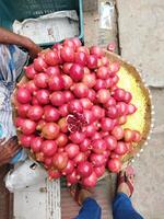 a person standing next to a large bowl of onions photo