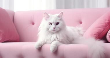 ai generado un blanco gato es sentado en el sofá foto