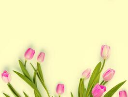 bouquet. Beautiful tulip flowers on colorful background photo