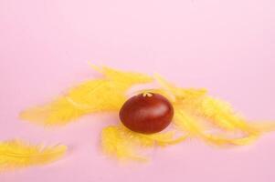 An Easter red egg lies on a pink table with yellow feathers photo