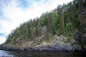 ladoga skerries naturaleza reserva en verano foto