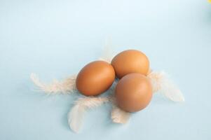 Red eggs lie on a blue background. Pink bird feathers are scattered on the table Top view copy space photo